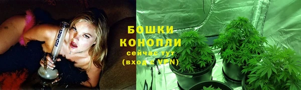 дурь Новозыбков