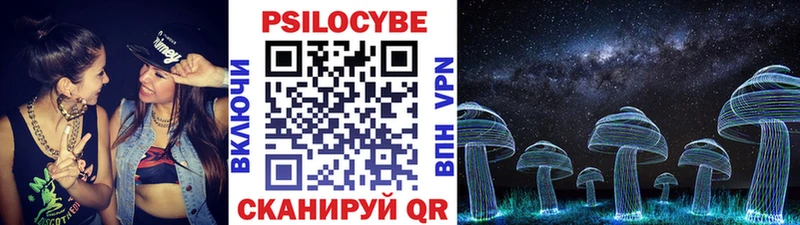 Галлюциногенные грибы Psilocybe  Медынь 
