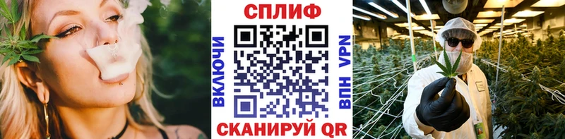 Канабис MAZAR  Медынь 
